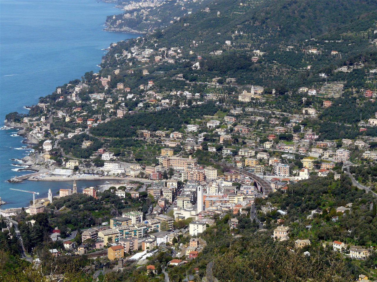 Recco e il Golfo Paradiso, focaccia col formaggio IGP